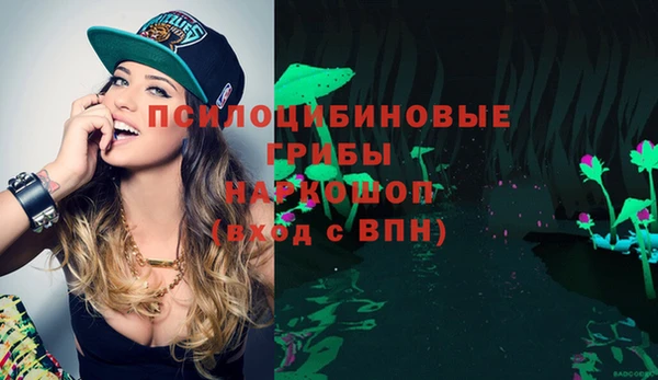PSILOCYBIN Абдулино