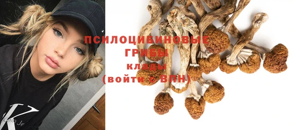 синтетический гашиш Новокубанск
