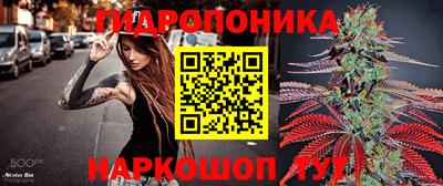 стаф Краснознаменск