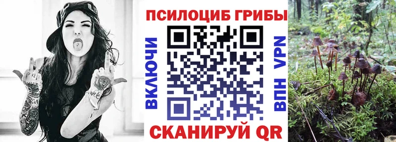 Галлюциногенные грибы Magic Shrooms  Калининград 