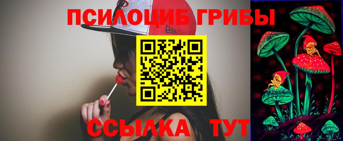 Калининград  Галлюциногенные грибы мицелий  Вход с VPN  Псилоцибиновые грибы Psilocybine cubensis 